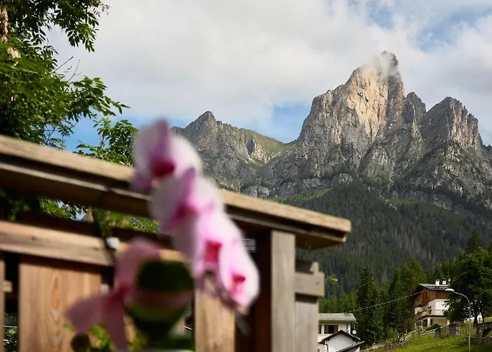Alpen Dolomites * Selva di Cadore